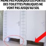 Quand votre chien grogne sur quelqu’un, ce qu’il détecte en réalité pourrait vous choquer