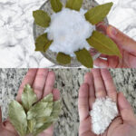 Votre rituel quotidien sous la douche : une habitude bénéfique ou un risque pour votre peau ?