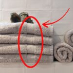 ⭐ Recette du dessert minceur (110 calories, riche en protéines, prêt en 4 minutes)