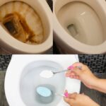 Ne les laissez pas jeter leur récolte ! 10 recettes à faire avec du chou-fleur pour sauver nos agriculteurs