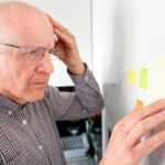 🇫🇷 Si une tourterelle s’approche de chez vous, en voici la signification