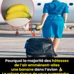 Le pouvoir caché des graines de courge