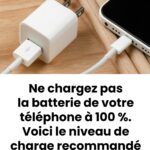 Une étrange découverte dans le jardin : des petites sphères blanches qui révèlent un mystère surprenant