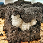 Pourquoi la majorité des hôtesses de l’air emportent-elles une banane dans l’avion ? La raison risque de vous surprendre 🍌✈️