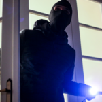 Le besoin vital que les mésanges attendent en hiver… et que tout le monde oublie !