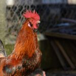 Voici à quelle fréquence prendre une douche après 65 ans (et pourquoi en faire trop peut être risqué)