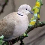 Je suis neurologue, et voici les 6 mauvaises habitudes qui détruisent votre mémoire