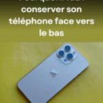 Attirer un rouge-gorge dans son jardin : les 4 choses qu’il observe avant de s’installer