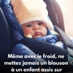 Hibou près de votre maison : quelle est sa signification ?