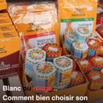 Pourquoi votre chat vous suit aux toilettes : la vraie raison enfin expliquée