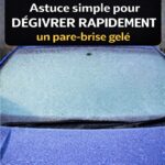 Lait au Four Crémeux : Un Dessert Traditionnel au Goût d’Enfance