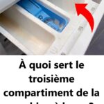 🇨🇭 En Suisse, les squatteurs expulsés en moins de 24 heures : Comment le pays agit-il ?