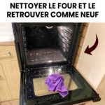 Comment les chats avertissent leurs maîtres d’un danger imminent : soyez attentifs à ces 5 signes