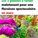 Démarchage téléphonique : la question imparable qui les fait raccrocher