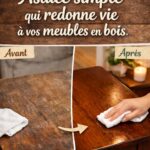 Votre chien vous suit partout, même aux toilettes ? Voici ce que cela signifie