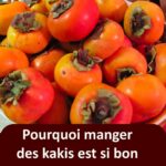 Démarchage téléphonique : la question imparable qui les fait raccrocher