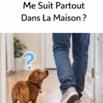 Astuce simple qui redonne vie à vos meubles en bois