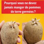 À quel âge transmettre un bien à son enfant pour réduire ou éviter les droits de succession ?