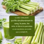 Recette facile de gratin de légumes au fromage (plat économique)