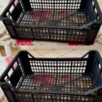 🥞 Crêpes fourrées à la crème : un dessert fondant et irrésistible