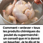 Ma grand-mère m’a appris cette astuce pour nettoyer le grille-pain sans effort : voici comment ça marche