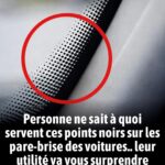 Sol extrêmement propre et joints nets : l’astuce pour les nettoyer en un seul passage