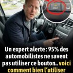 Voici pourquoi vous devriez placer du papier aluminium autour de vos plantes