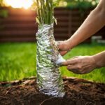 Un expert alerte : 95 % des automobilistes ne savent pas utiliser ce bouton… voici comment bien l’utiliser