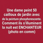 🧺 10 façons intelligentes de réutiliser des paniers à linge en plastique