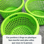 🌙 Elle peint 50 pierres de jardin avec de la peinture phosphorescente — Le résultat la nuit est ENCHANTEUR