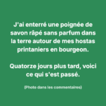 Salade de carottes maison en bocaux : fraîche, savoureuse et parfaite pour toute la semaine