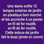 Lapins Géants en Frites de Piscine Roses 🐰