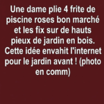 Transformez votre jardin avec cette astuce géniale de lumières solaires