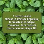 Gratin Fondant de Courgettes et Fromage : La Recette Familiale Ultra Gourmande