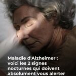 Les fraises trop mûres transformées en un dessert en couches irrésistible 🍓