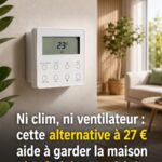 Peu de gens connaissent la véritable raison de ce petit nœud sur les culottes féminines