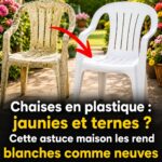 Meilleur que l’eau de Javel : cette recette maison élimine le calcaire de la salle de bain et toute la graisse de la cuisine