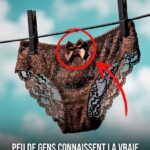 Ni clim, ni ventilateur : cette alternative à 27 € aide à garder la maison plus fraîche tout l’été