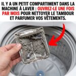 Après avoir découvert cette astuce, vous ne regarderez plus jamais vos vieilles orchidées de la même façon