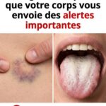 Des médecins révèlent que la consommation de cacahuètes provoque… des effets surprenants sur votre santé