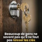 Vous avez trouvé une tique dans votre jardin ? Voici ce que cela signifie et comment vous protéger