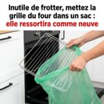 Éliminez les acrochordons en faisant simplement ceci : ce que les dermatologues recommandent vraiment