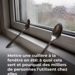 Les médecins révèlent que manger du concombre en salade provoque… de nombreux bienfaits pour votre santé !