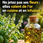 La véritable signification de « WC » : pourquoi cet acronyme est utilisé dans le monde entier