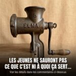 ⚠️ Attention ! Si vous avez trouvé cet insecte chez vous, c’est peut-être le signe que vous devez…