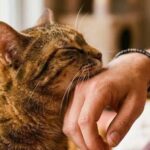 Ces sont les conséquences d’en utiliser trop… Voir plus