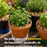 Choisissez une rose et découvrez quel type de femme vous êtes