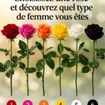 Ne jetez plus vos bouchons de bouteilles : au jardin, ils peuvent éviter un problème qui tue vos plantes en silence