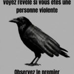 Choisissez une rose et découvrez quel type de femme vous êtes