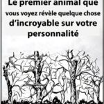 Foie de volaille : l’aliment méconnu qui booste votre énergie et régale vos papilles